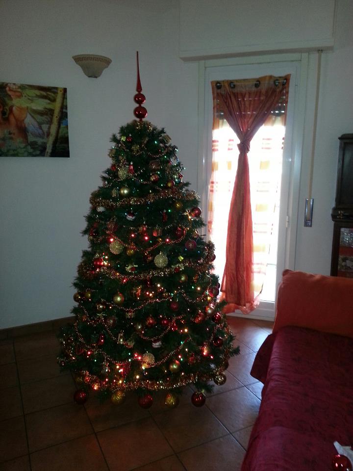 Federica - 22/12/2012